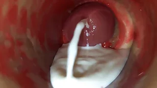 Sex Gay Porn 10